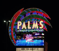 The Palms